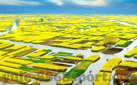 九游游戏官网下载中心-九游游戏官网下载中心，汇聚精彩，一触即达